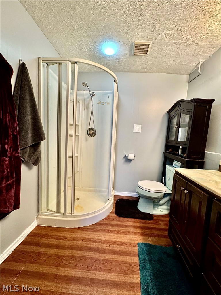 2852 Shelly Road Ravenna, OH 44266 - Photo 9 of 30 Bathroom featuring a shower stall, dark wood-type flooring, a textured ceiling, and vanity