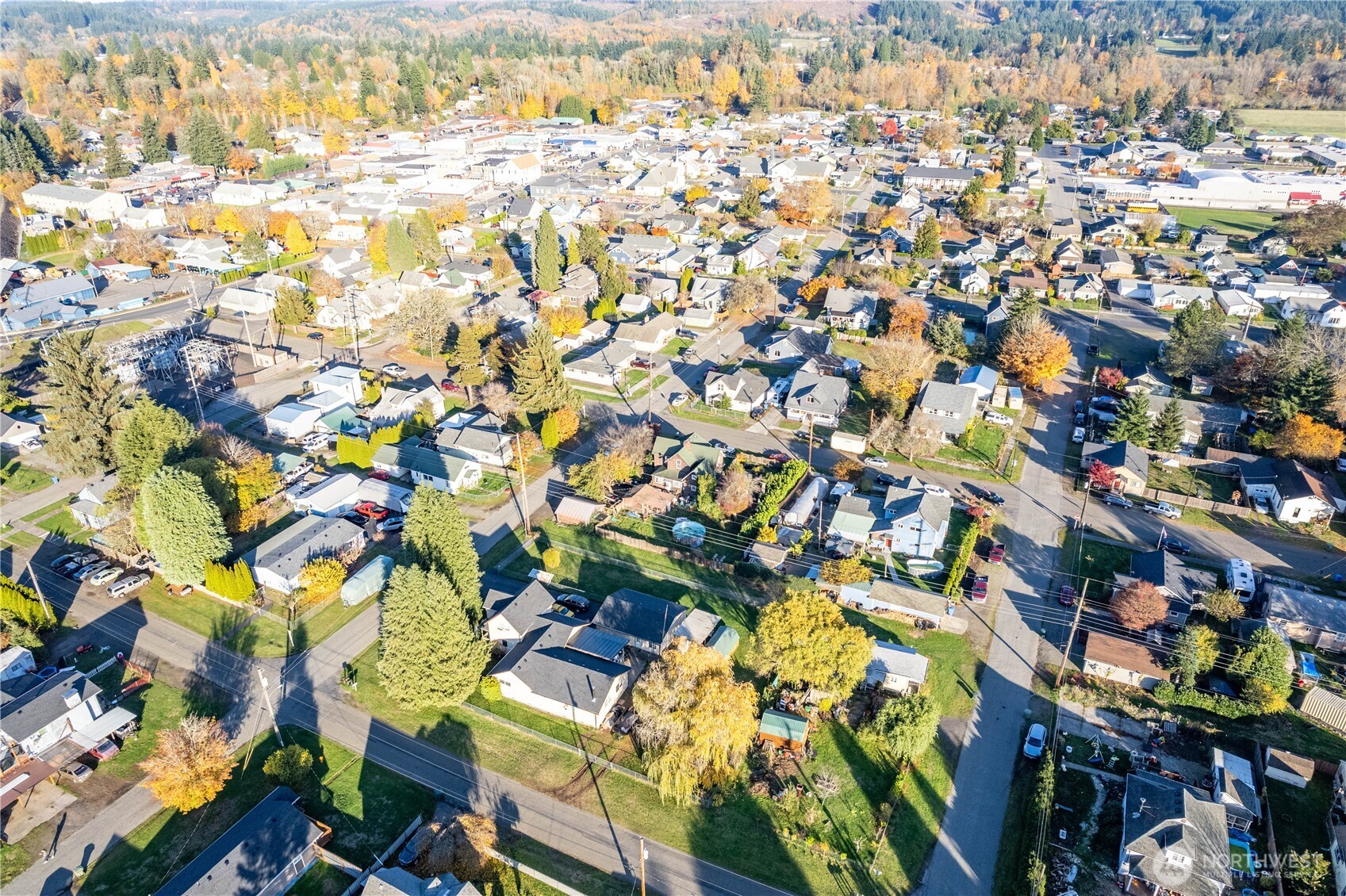 411 4th Avenue Southwest Castle Rock, WA 98611 - Photo 26 of 29 a view of outdoor space with lots of trees