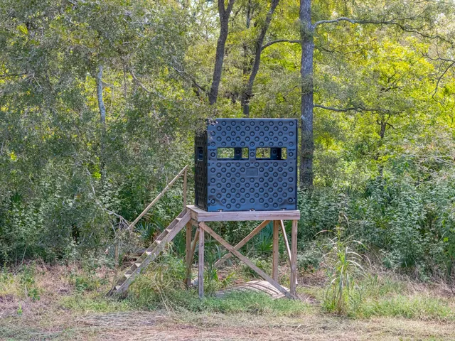 a view of a wooden fence and trees