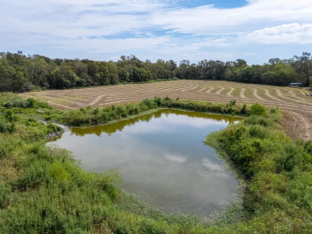 a view of a swimming pool with a yard
