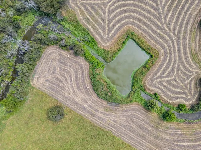 a view of a backyard of a house