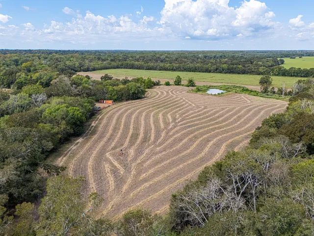 a view of a city street from a yard