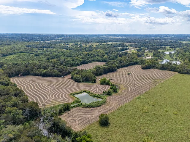 a view of a street with an ocean beach