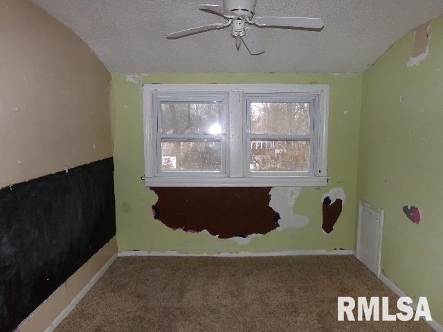 1739 West Decatur Street Decatur, IL 62522 - Photo 9 of 20