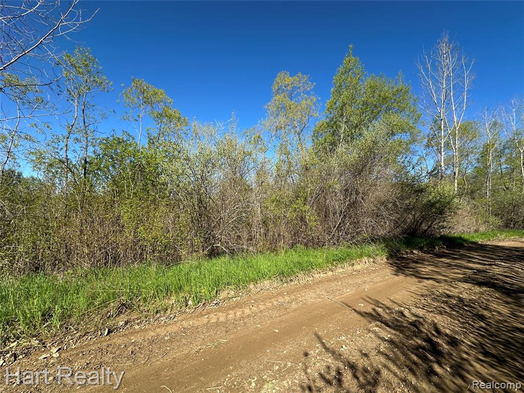 13 Single Tree Circle Dryden, MI 48428 - Photo 8 of 10