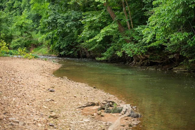a view of swimming pool with a yard