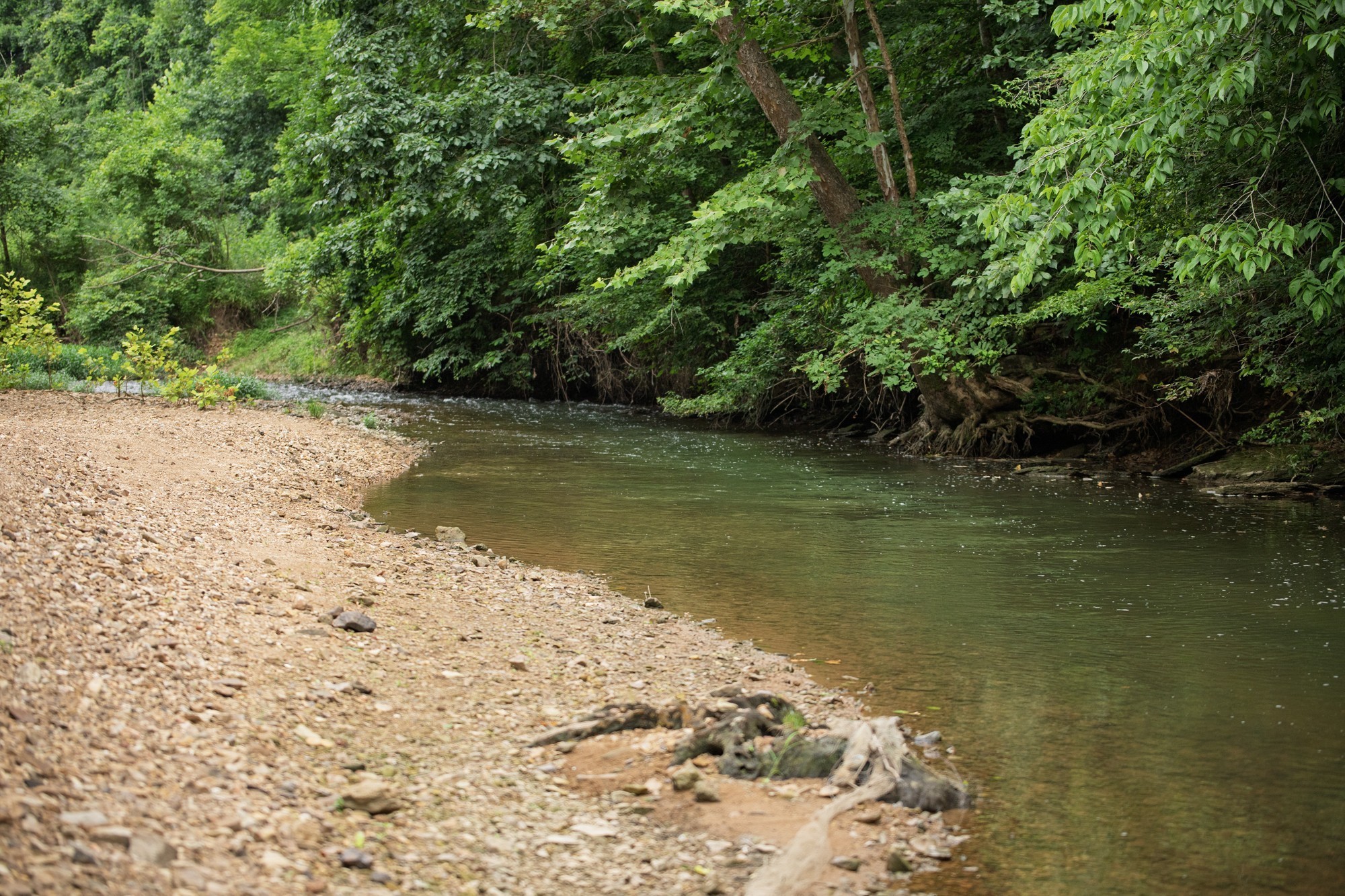 1125 Dawson Road White Bluff, TN 37187 - Photo 16 of 57