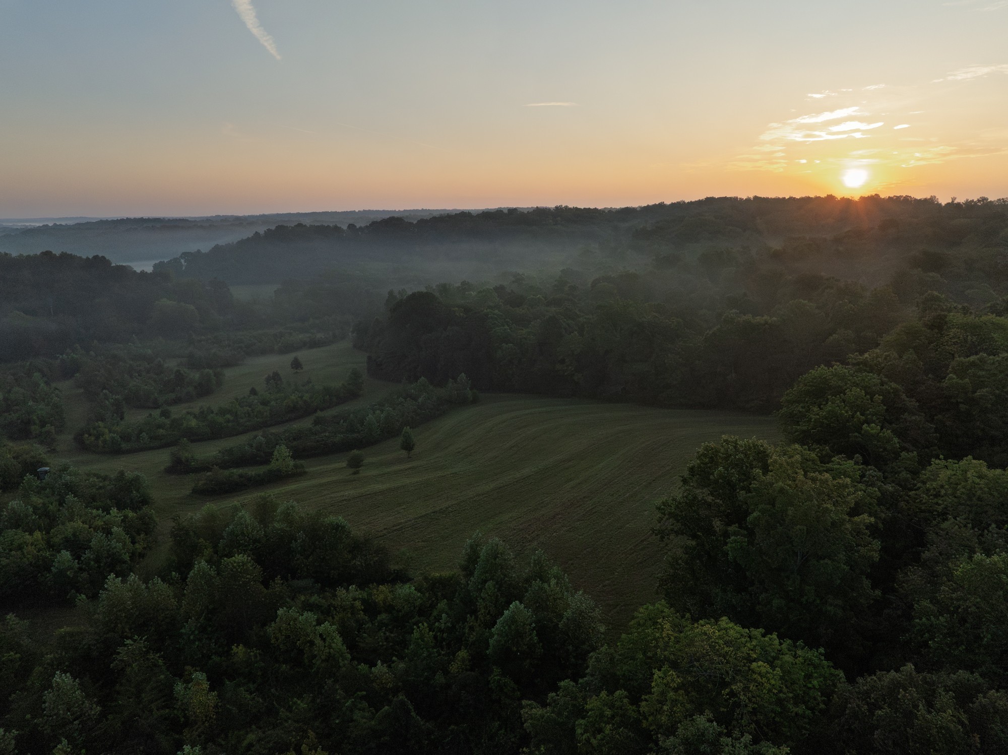 1125 Dawson Road White Bluff, TN 37187 - Photo 17 of 57