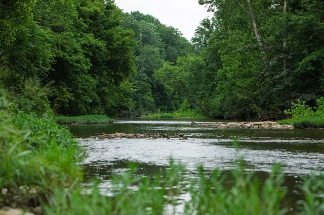 a view of house with a yard and garage