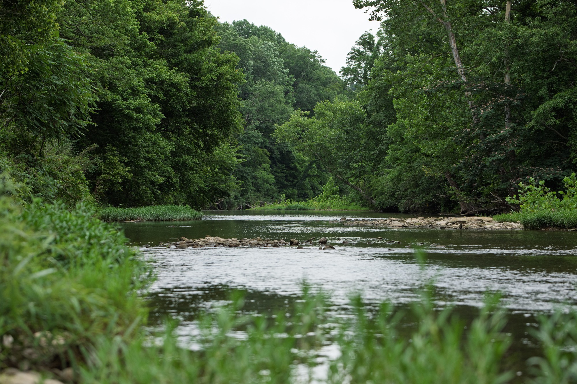 1125 Dawson Road White Bluff, TN 37187 - Photo 22 of 57 a view of a green yard