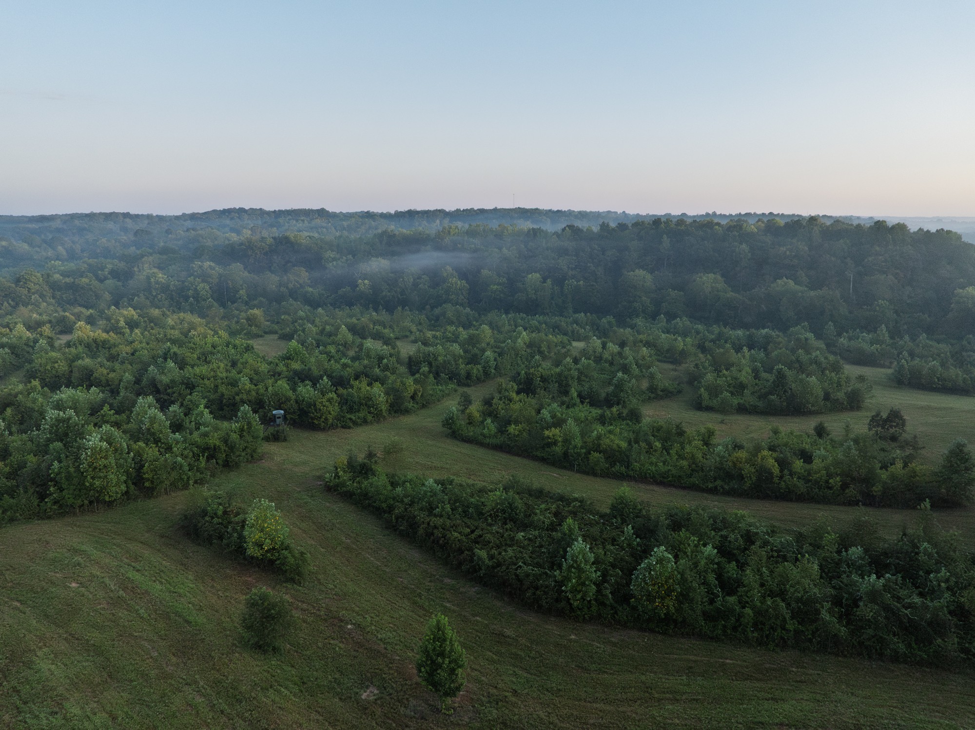 1125 Dawson Road White Bluff, TN 37187 - Photo 23 of 57 a view of a field of grass and trees