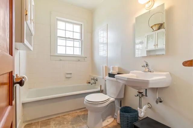 a close up of a tree in a yard