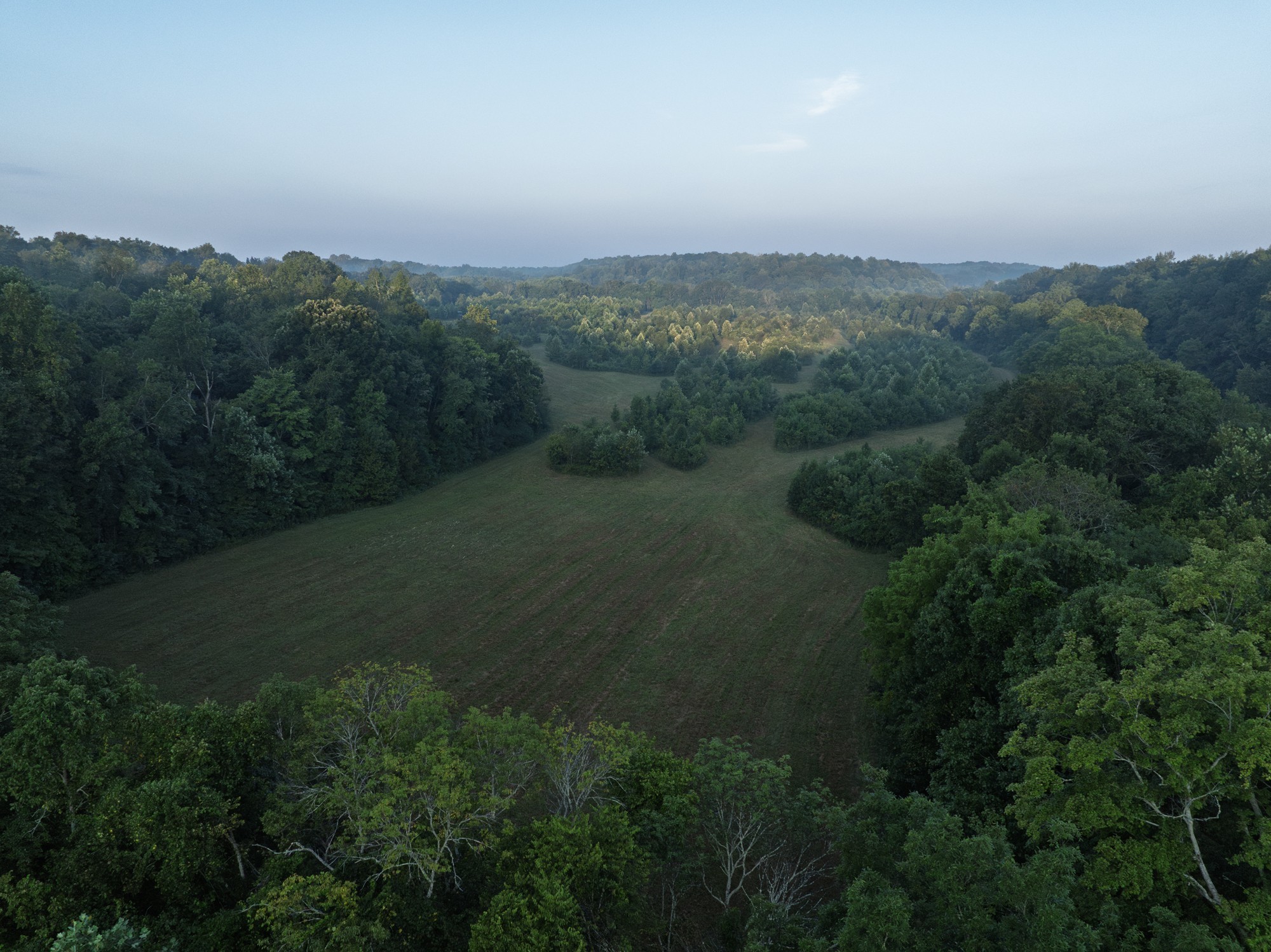 1125 Dawson Road White Bluff, TN 37187 - Photo 30 of 57