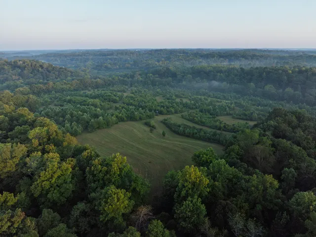 a view of a lake with a mountain in the back