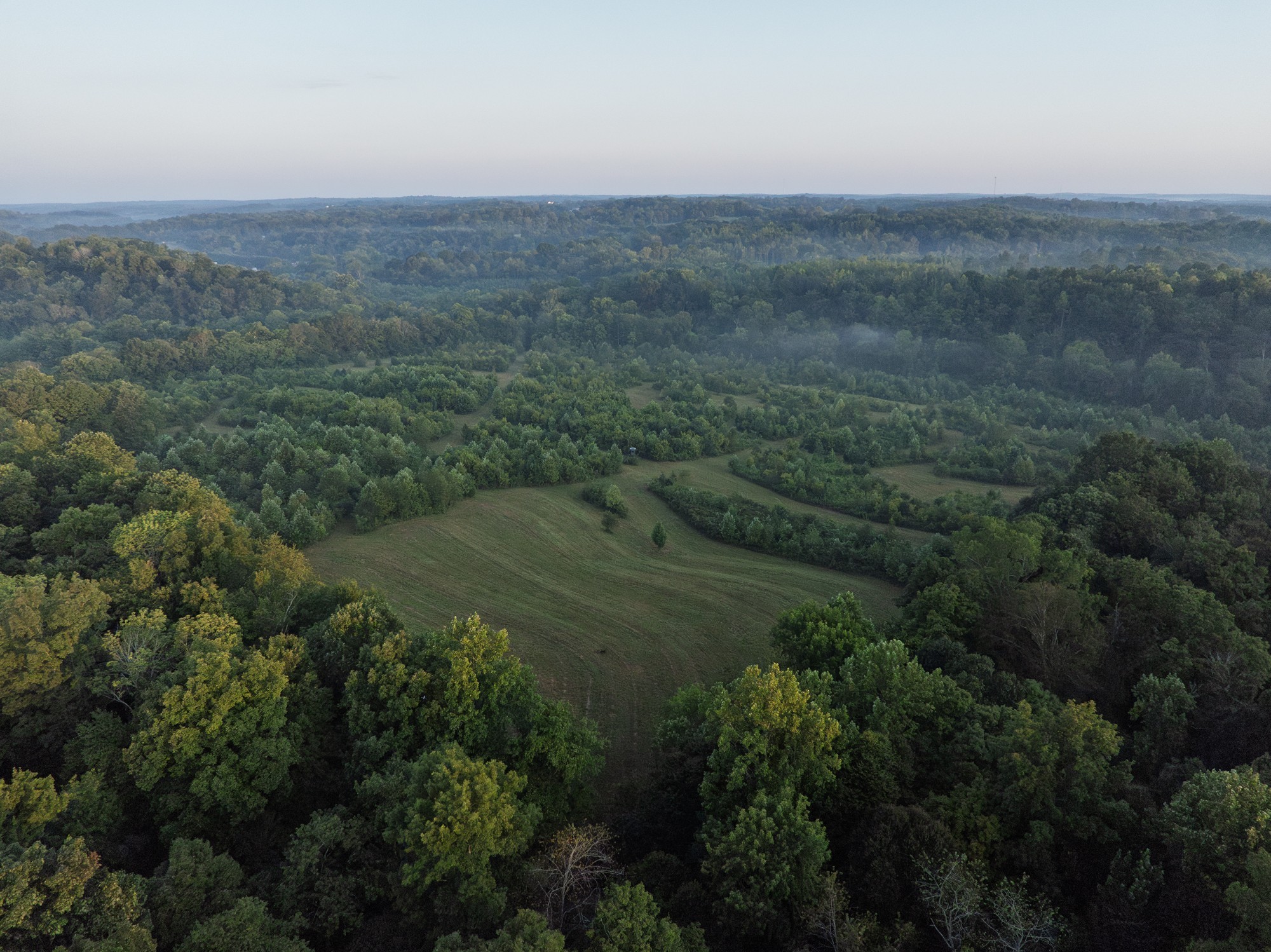 1125 Dawson Road White Bluff, TN 37187 - Photo 3 of 57 a view of a field with an outdoor space