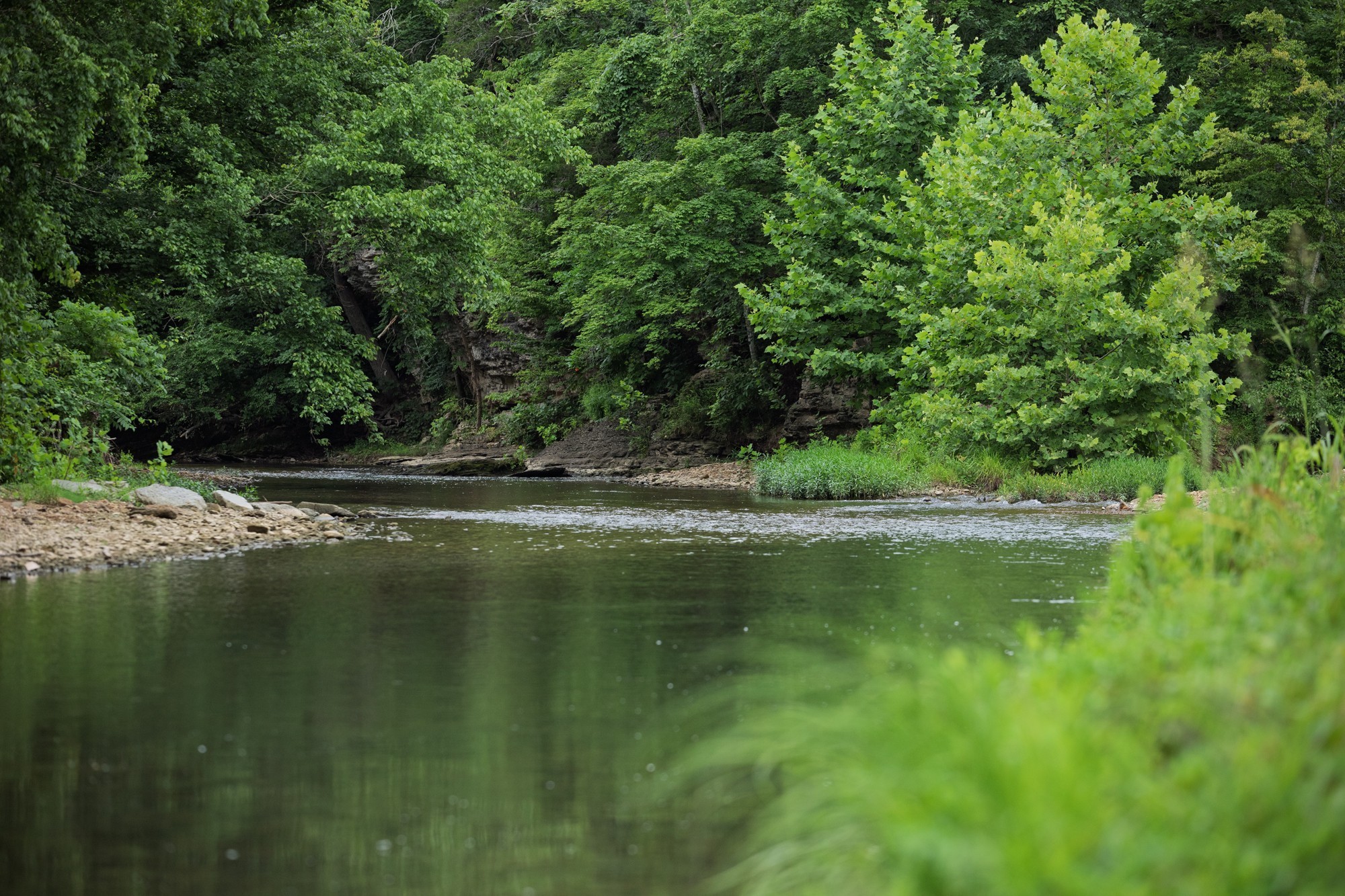 1125 Dawson Road White Bluff, TN 37187 - Photo 31 of 57 a view of swimming pool with a yard