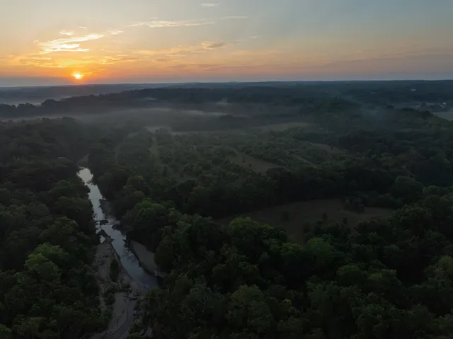 a view of a field of grass and trees