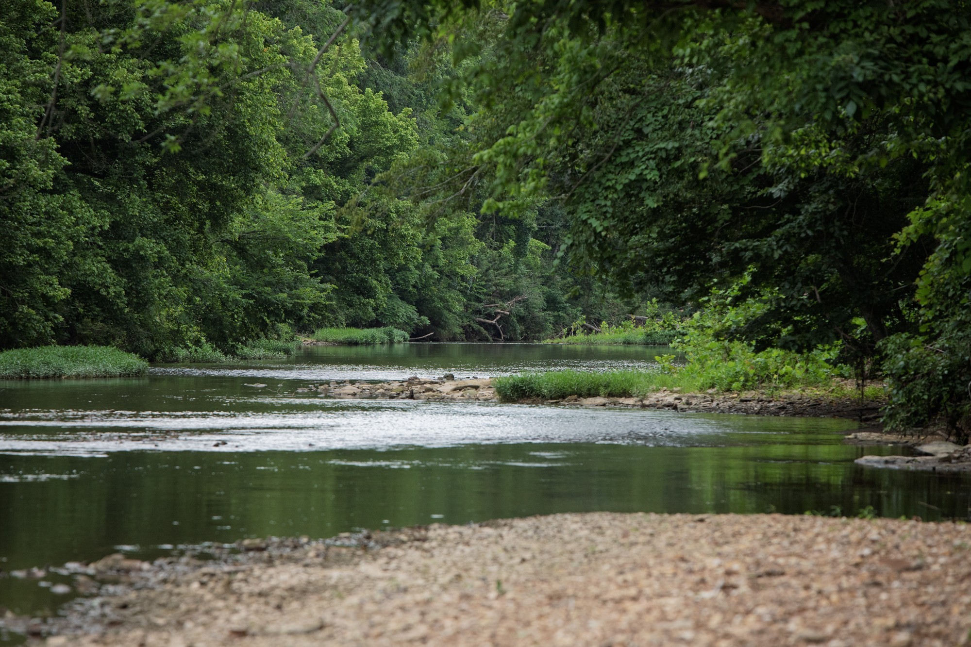 1125 Dawson Road White Bluff, TN 37187 - Photo 4 of 57 a view of a lake view
