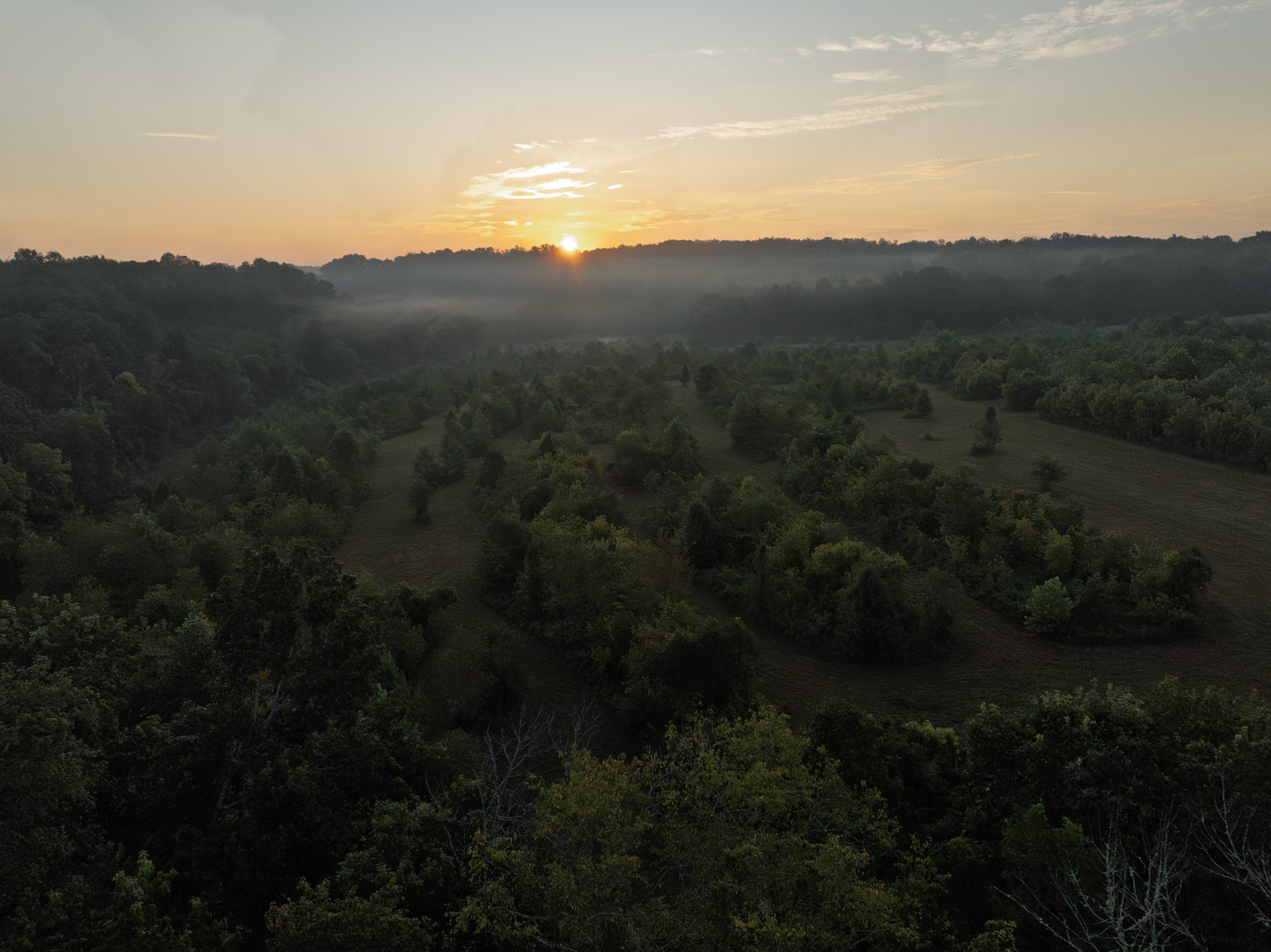 1125 Dawson Road White Bluff, TN 37187 - Photo 44 of 57 a view of a mountain in the distance in a field