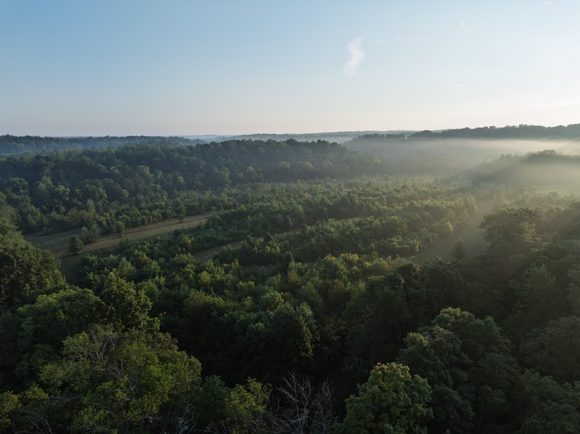 1125 Dawson Road White Bluff, TN 37187 - Photo 45 of 57