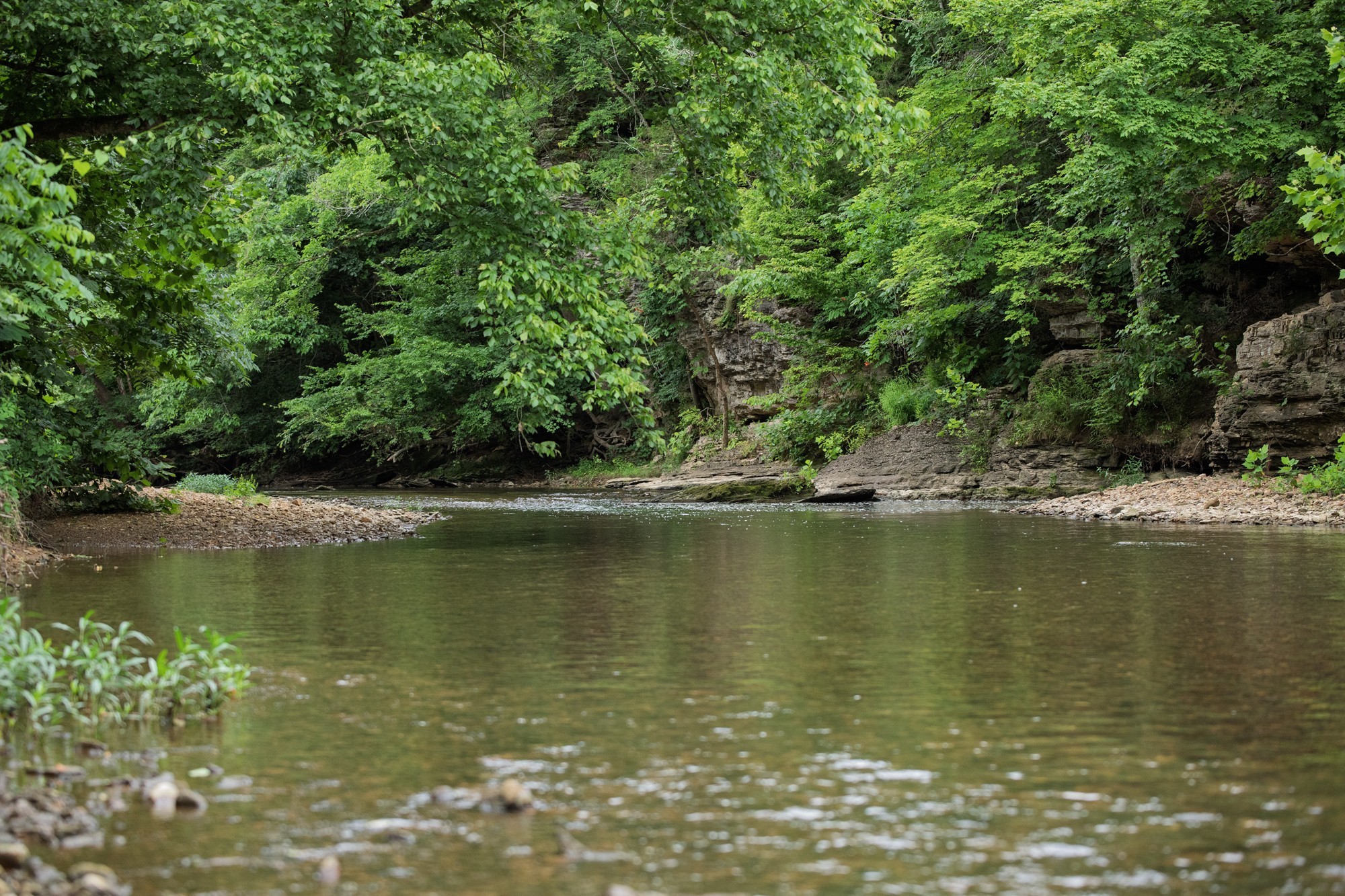 1125 Dawson Road White Bluff, TN 37187 - Photo 46 of 57