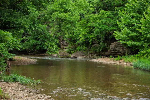 $5,000,000 | 1125 Dawson Road, White Bluff, TN 37187