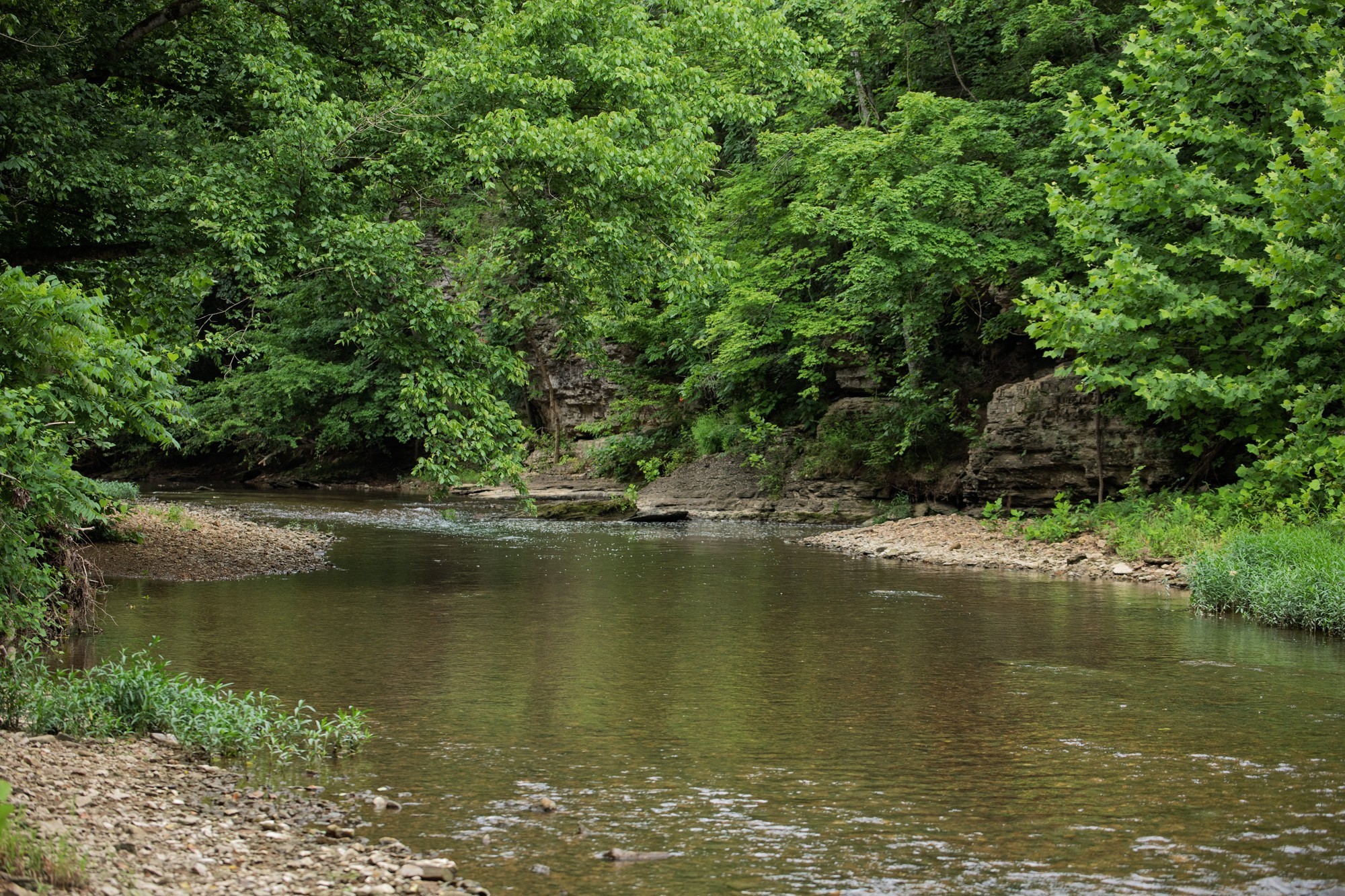 1125 Dawson Road White Bluff, TN 37187 - Photo 47 of 57