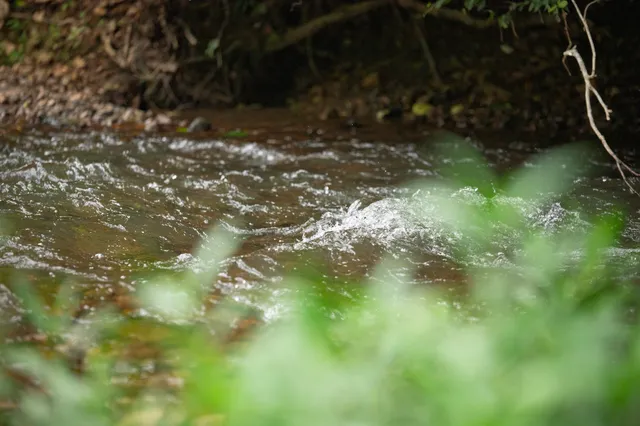 $5,000,000 | 1125 Dawson Road, White Bluff, TN 37187