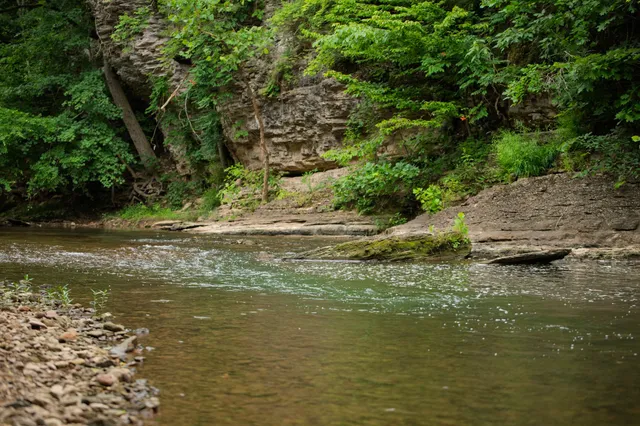 $5,000,000 | 1125 Dawson Road, White Bluff, TN 37187