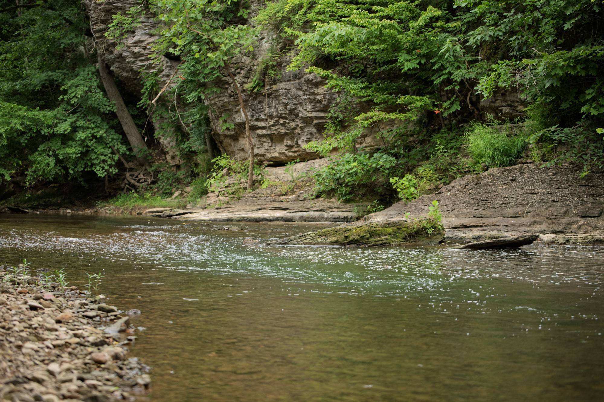 1125 Dawson Road White Bluff, TN 37187 - Photo 51 of 57