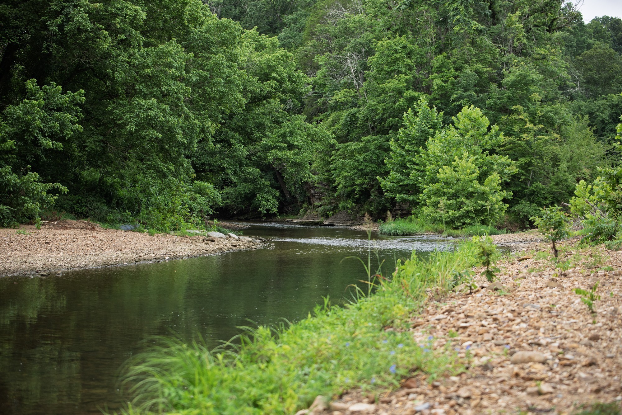 1125 Dawson Road White Bluff, TN 37187 - Photo 52 of 57 a view of lake with green space