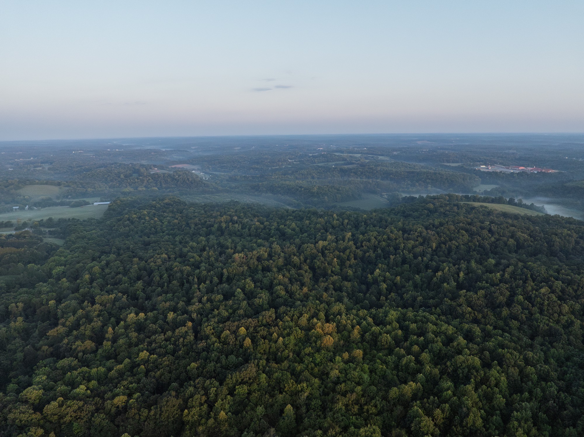 1125 Dawson Road White Bluff, TN 37187 - Photo 54 of 57 a view of a field of grass and trees