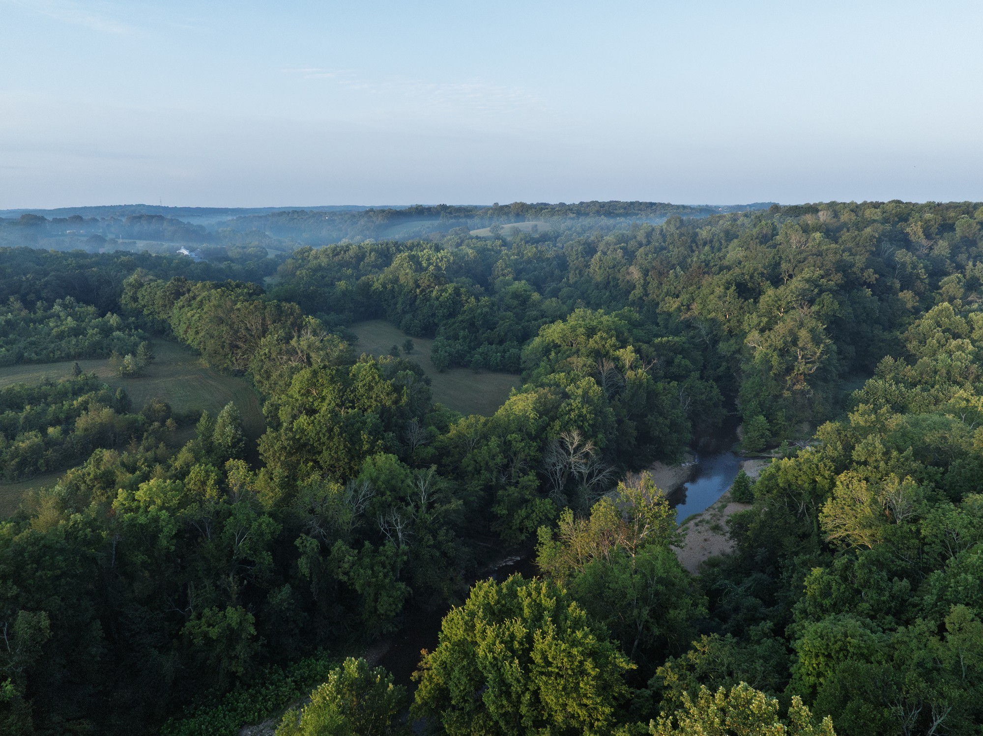 1125 Dawson Road White Bluff, TN 37187 - Photo 55 of 57
