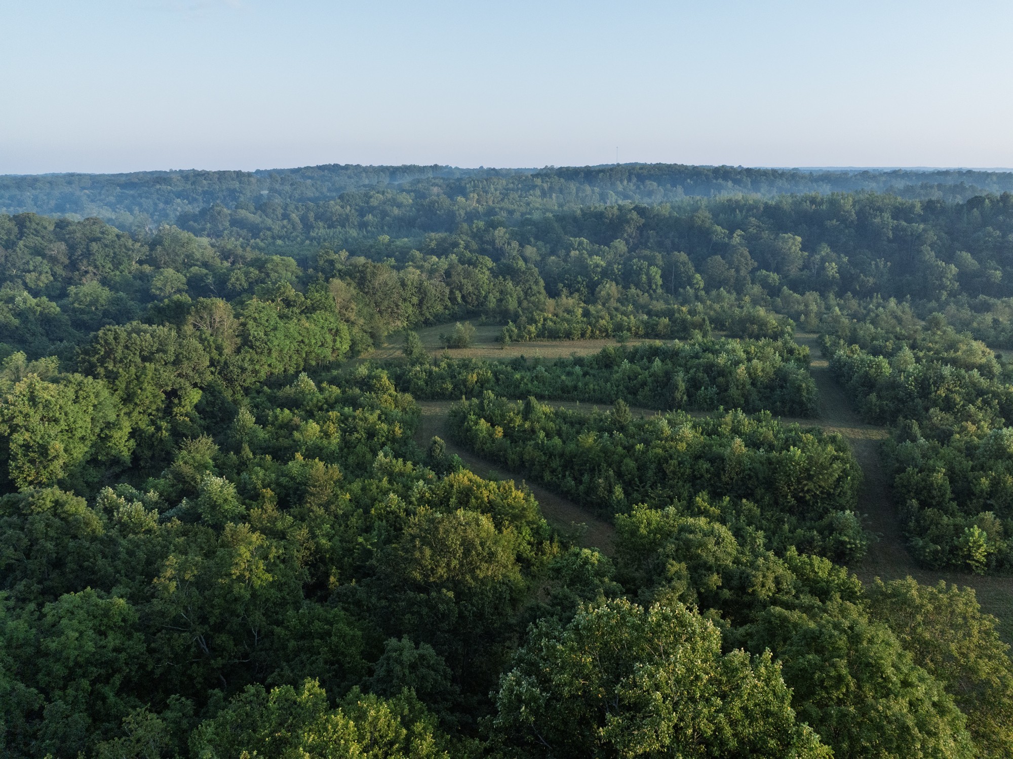 1125 Dawson Road White Bluff, TN 37187 - Photo 56 of 57