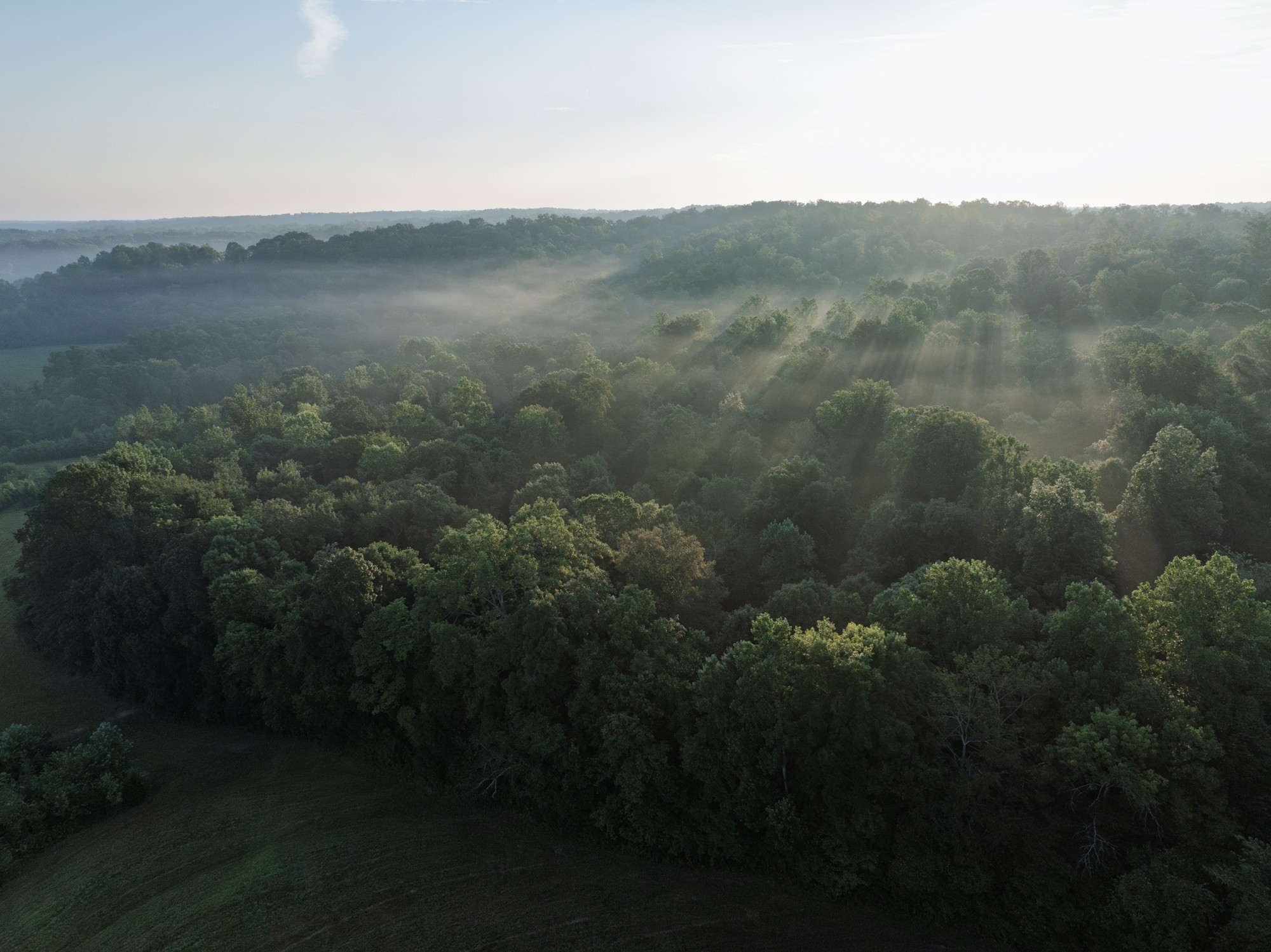 1125 Dawson Road White Bluff, TN 37187 - Photo 57 of 57
