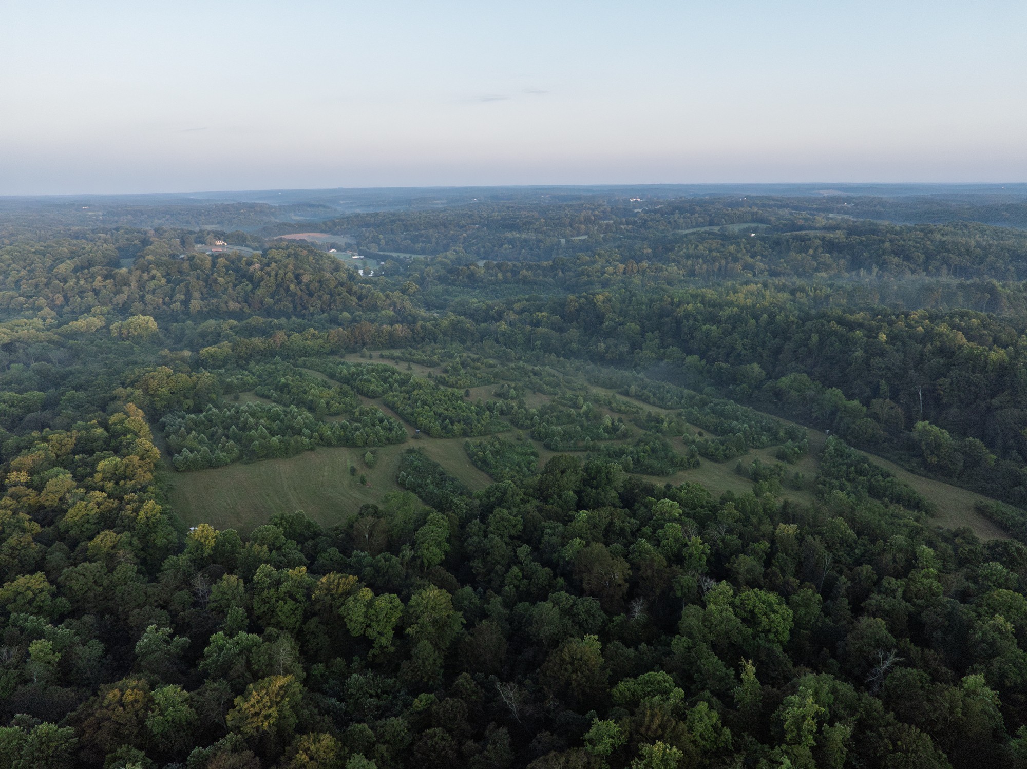 1125 Dawson Road White Bluff, TN 37187 - Photo 7 of 57