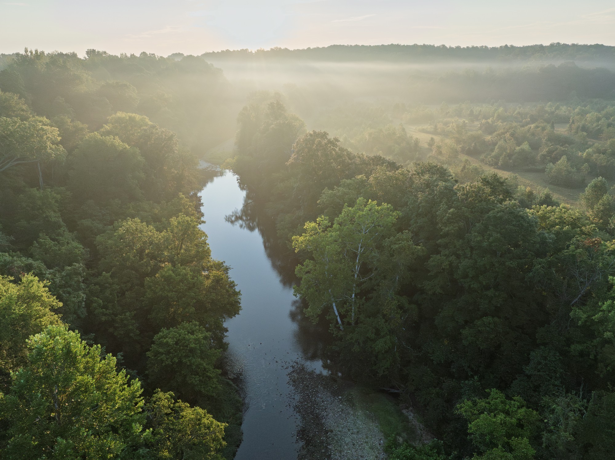 1125 Dawson Road White Bluff, TN 37187 - Photo 8 of 57