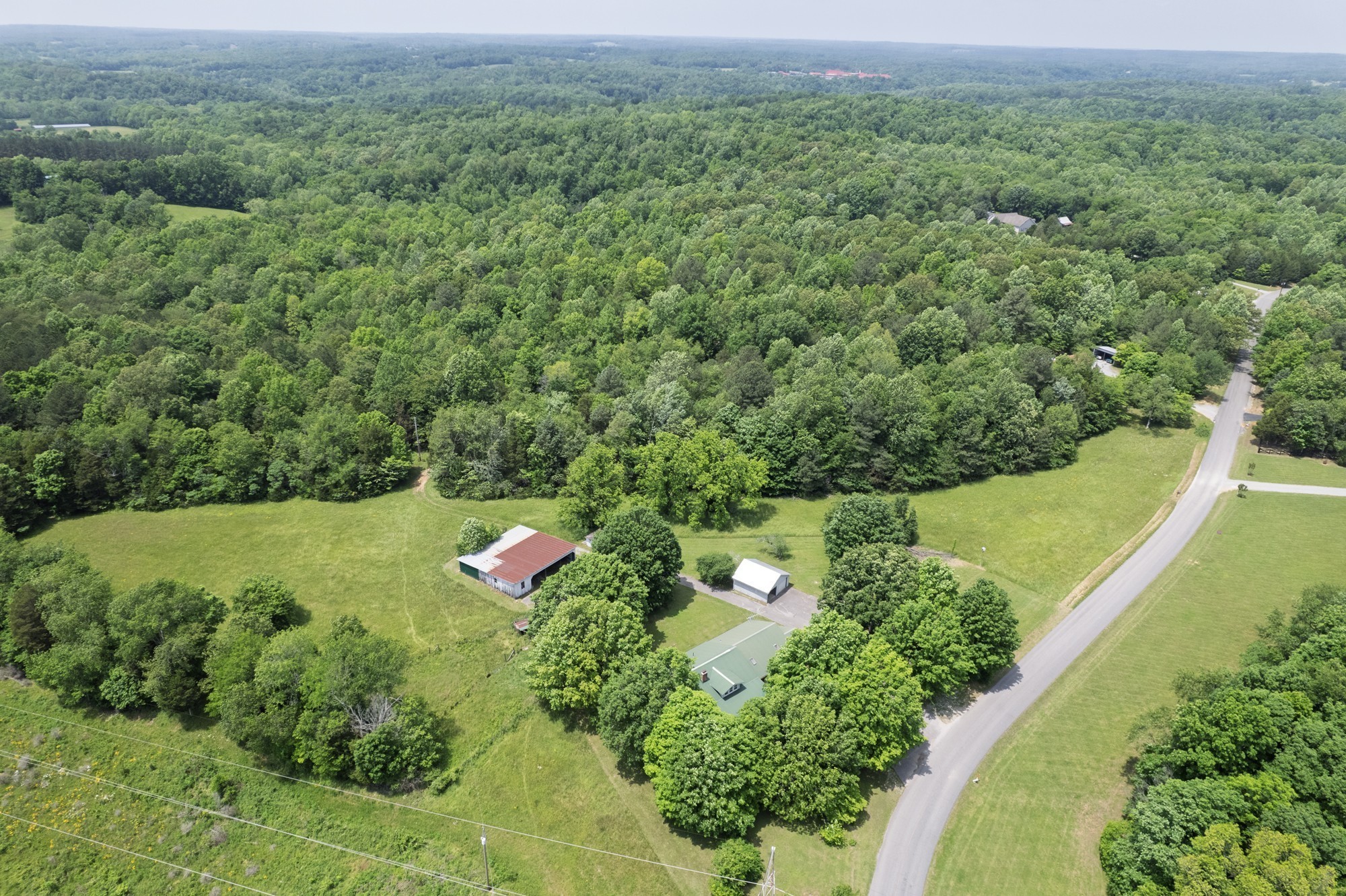 1125 Dawson Road White Bluff, TN 37187 - Photo 9 of 57 a view of a forest with a houses