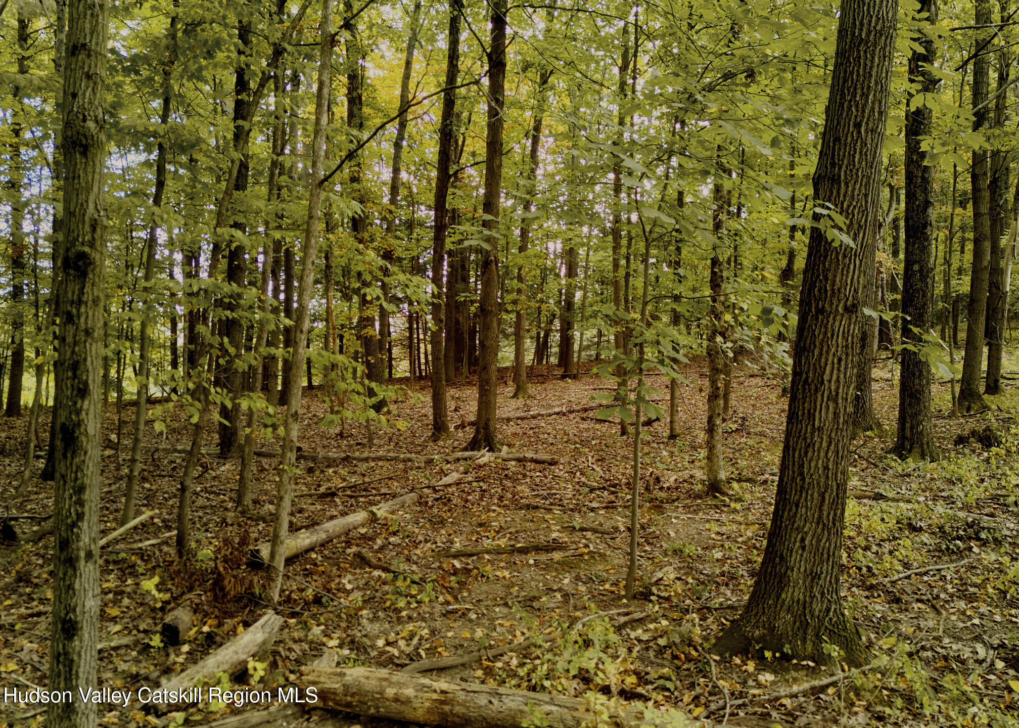 1320 River Road Schodack, NY 12156 - Photo 17 of 27 Copy of 2024.09.24_LM_SCHODACKLANDING__0