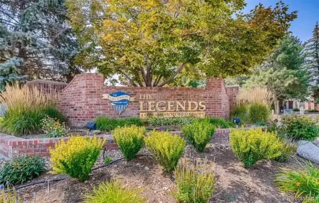 a view of a garden with plants and large trees