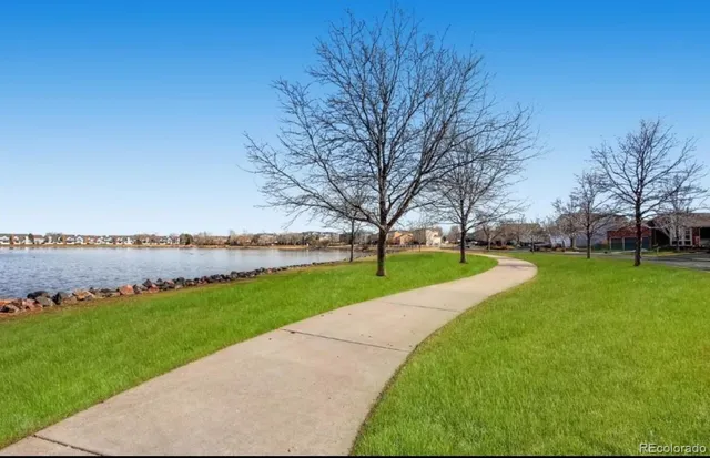 a view of a park with large trees