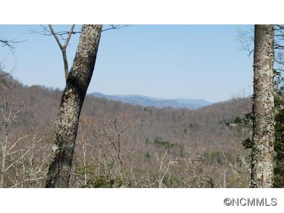 75 Smokey Ridge Trail, Unit 191 Arden, NC 28704 - Photo 1 of 8 Gallery Image 1