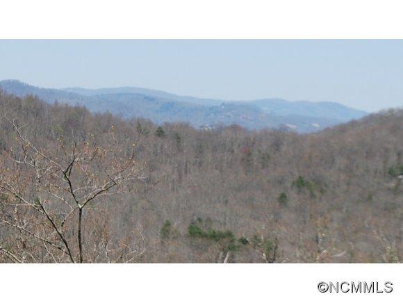 75 Smokey Ridge Trail, Unit 191 Arden, NC 28704 - Photo 2 of 8 Gallery Image 2