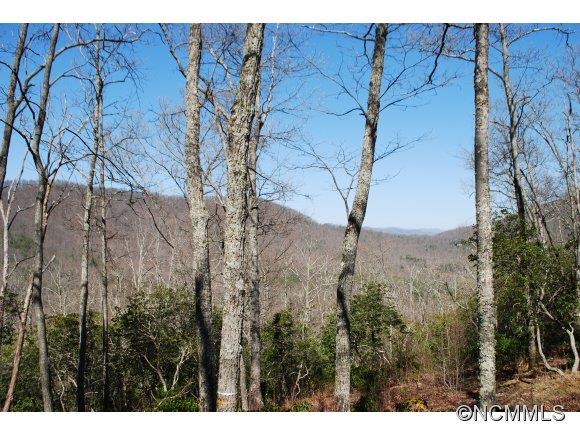 75 Smokey Ridge Trail, Unit 191 Arden, NC 28704 - Photo 3 of 8 Gallery Image 3
