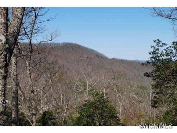75 Smokey Ridge Trail, Unit 191 Arden, NC 28704 - Photo 4 of 8 Gallery Image 4