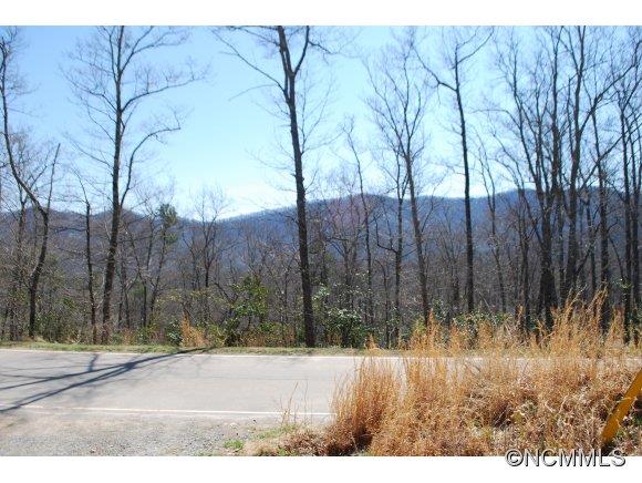 75 Smokey Ridge Trail, Unit 191 Arden, NC 28704 - Photo 5 of 8 Gallery Image 5