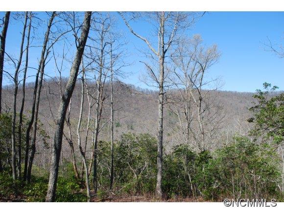 75 Smokey Ridge Trail, Unit 191 Arden, NC 28704 - Photo 6 of 8 Gallery Image 6