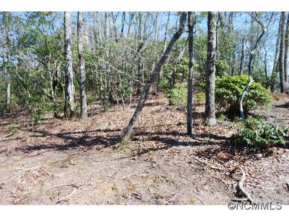 75 Smokey Ridge Trail, Unit 191 Arden, NC 28704 - Photo 7 of 8 Gallery Image 7