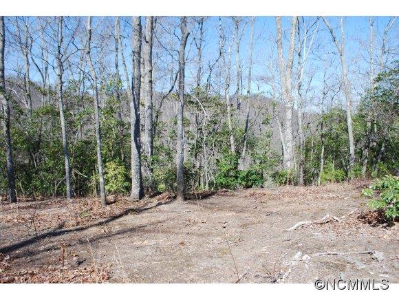 75 Smokey Ridge Trail, Unit 191 Arden, NC 28704 - Photo 8 of 8 Gallery Image 8