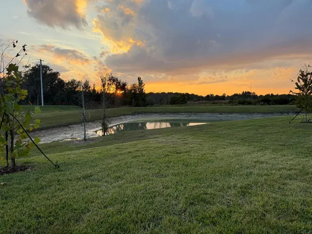 a view of a garden with an outdoor space